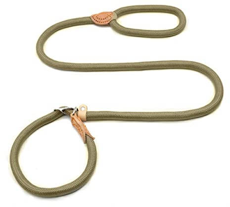 1 Stück Hundeleine Retrieverleine mit zugstopp Dauerhafte Weiche Geflochten mit Halsband Einstellbar Retriever Leinen für Kleine Mittlere und klein Hunde
