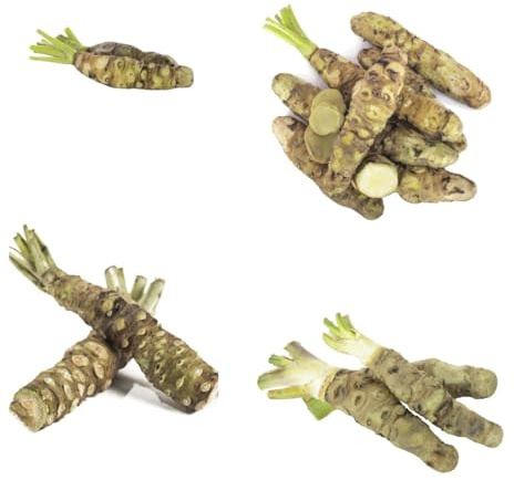 Semillas de wasabi, semillas para camas elevadas cocina jardín del balcón variedades antiguas raras regalos sostenibles jardín 300pcs