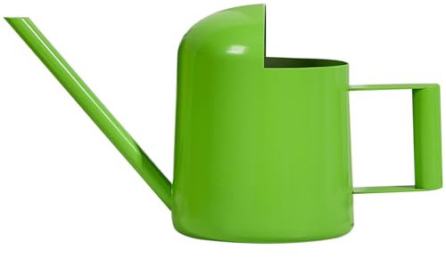 Mini regadera, regadera de 300 ml, regadera pequeña de acero inoxidable para interiores con pico largo, regadera de bonsái de estilo simple para plantas de interior y exterior, regadera de interior ve