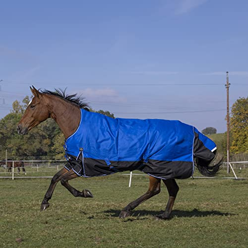 Winterdecke Highneck Combo 300g Füllung TYREX 1200D AISANCE EquiTheme blau/schwarz 105cm