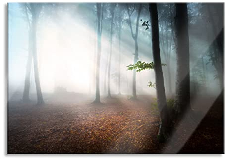 Pixxprint Image murale en verre véritable - Forêt sombre dans le brouillard - 80 x 60 cm - Avec suspension et entretoises