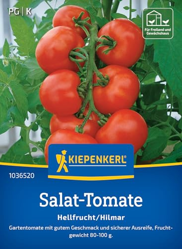 Kiepenkerl Salat-Tomatensamen Hellfrucht/Hilmar 1036520, Gemüsesaat | Fest & saftig, aromatisch, Wuchshöhe 150-200 cm, für Freiland, Gewächshaus & Topf