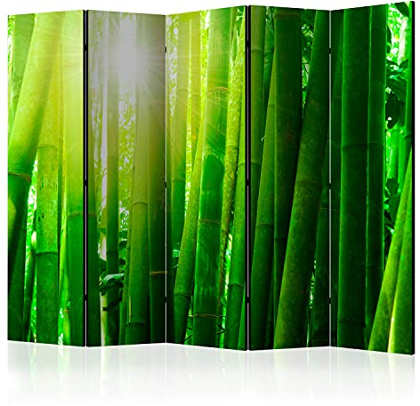 murando Raumteiler Foto Paravent Bambus 225x172 cm beidseitig auf Vlies-Leinwand Bedruckt Trennwand Spanische Wand Sichtschutz Raumtrenner Design Natur Botanik Pflanze Asien p-C-0024-z-c