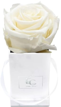 Emmie Gray Classic Infinity ROSENBOX | Marble Silver | Eckige Flowerbox - Infinity Rosen in Grauer Samtbox - 1-3 Jahre Haltbarkeit - Echte Rosen, die jahrelang blühen (Pure White)