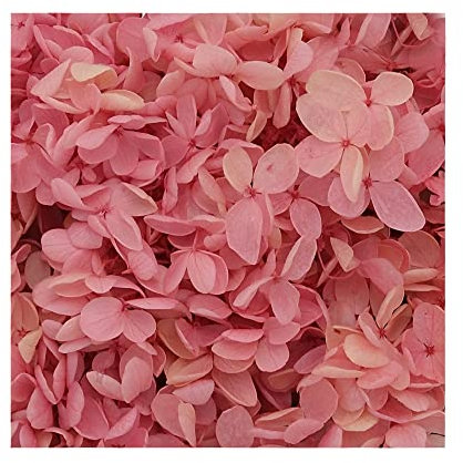 Fiori secchi retrò rosa sfumati piccole foglie conservate decorazione per artigianato fai da te fiori materiale accessorio, fiori pressati per candele artigianato, matrimonio fai da te forniture