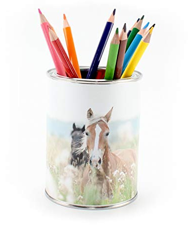 Pot à crayons, motif de chevaux, avec 12 crayons de couleur triangulaires, pour enfants, filles et garçons