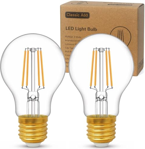 YOUDIAN LED E27 Edison Screw Bulb,Screw in Light Bulb 6W,Pack of 2 | Warm White 2700K,ES Bulbs,A60 Clear LED Filament Energy Saving Light Bulbs,600 Lumen,Non-Dimmable,220-240V