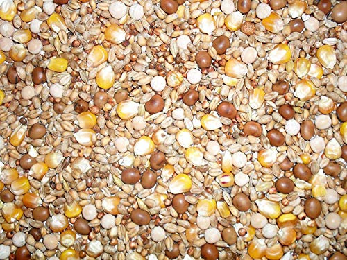 Johnston & Jeff Four Seasons General Economy Pigeon Seed Mix, 20 kg (Pack of 1)
