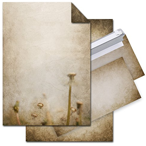 Logbuch-Verlag vintage Briefpapier Set 50 Blatt Papier + 50 Umschläge Kuverts beige braun Pusteblume Löwenzahn