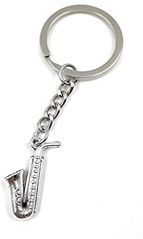 Onwomania Porte-clés saxophone tuba instrument porte-bonheur en métal dans une boîte cadeau en aluminium idéal pour offrir, argenté, taille unique