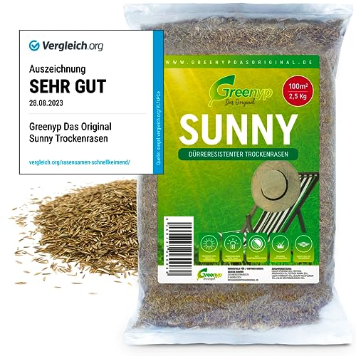 Greenyp® Sunny I dürreresistenter Trockenrasen I 2,5kg für 100m² I Grassamen Rasensamen Rasensaat Gras Nachsaat schnellkeimend