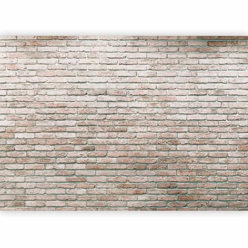 murando PREMIUM Fotomurales 400x280 cm Papel pintado tejido no tejido Decoración de Pared decorativos Murales moderna de Diseno Fotográfico - Ladrillo Piedras f-A-0570-a-a
