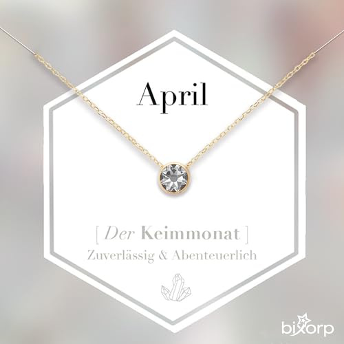 Bixorp Geburtsstein Halskette mit Zirkonia-Anhänger - Edelstahlkette mit rundem Zirkonia-Kristall - Gold & Silberfarben