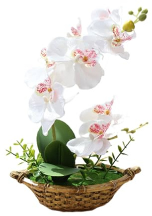 Générique 1 Pièce Orchidées Blanches Artificielles en Pot Simulation Violette en Pot Orchidée Papillon Composition Florale déCorative Décoration d'intérieur Orchidée Verte 27 cm (Blanc)