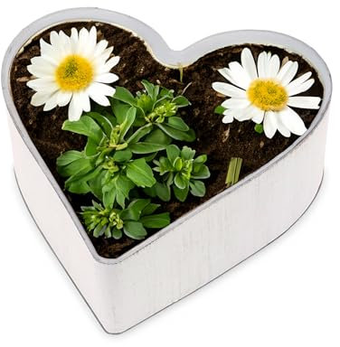 Vaso per piante a forma di cuore, vintage, bianco crema, 25 x 24 x 7,5 cm, resistente alle intemperie, decorazione funeraria