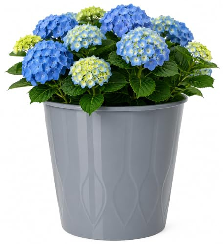 Muddy Hands 22 Litre Decorative Plastic Planter – Stylish Indoor & Outdoor Plant Pot for Home & Garden Decor, Textured Design, No Drainage Holes, Lightweight Flower Container (1, Grey)