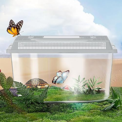 Transparent Reptile Feeding Box 360°, Standard Faunarium with Handle, Reptile Tank Transport & Portable Habitat Feeding Boxes, Transparent Plastic Pet Houses for Gecko, Frog, Lizard, Tarantula (Grey)
