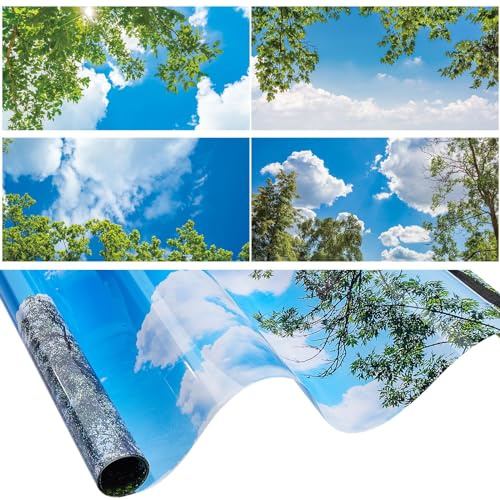 Amylove - 4 Pack Fluorescent Light Cover Classroom Ceiling Panels Light Filters with Backlit Film Material for Office, School, 4ft x 2ft (Lovely Blue Sky, Leaves)