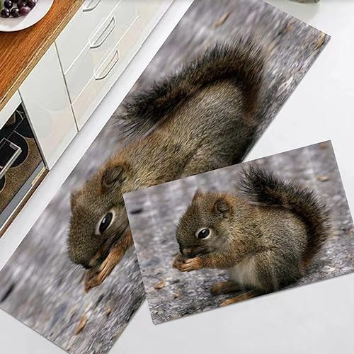 EKSED Küchenteppiche 2 Stück, Rutschfestes Küchenmatten,Tiere Schöne Eichhörnchen Essen Tannenzapfen,Wasser aufnehmen KüchenMatt Fußmatte Teppich Set, Fußmatte für Drinnen,40x60+40x120cm