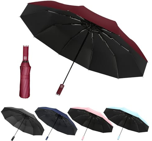EEPLUYTY Automatischer Regenschirm mit Auf-Zu-Automatik, 10 Rippen, Sturmfest, UV-Schutz für Regen oder Sonnenschein