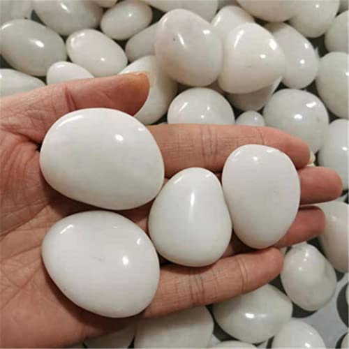 BDSTT Jardinería al Aire Libre decoración de jardín Piedra Blanca Grande Natural de Alto Brillo guijarros Blancos pecera decoración grava-500g,3-5cm Acerca de 7-8pcs