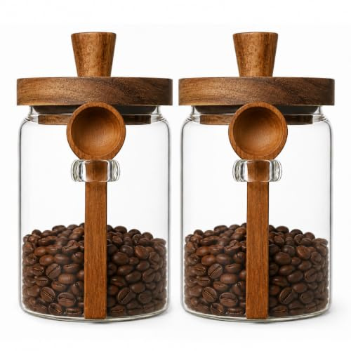 ANSQU Set of 2 Glass Food Storage Jars with Bamboo Wood Lid and Spoon, 20.3oz Glass Kitchen Canisters for Coffee, Tea, Cereal, Spice and Canning, Mason Jars, Cute Jars