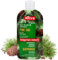 Milva Pine Tar Shampoo for Seborrheic Dermatitis - 200ml Natural Dandruff Shampoo - Anti Dandruff Shampoo - Psoriasis Shampoo - Treatment Solution for Dry Itchy & Flaky Scalp