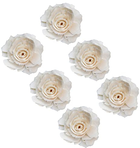 Ciieeo 6 Piezas Difusor vides de ratán de aromaterapia Decoraciones de Casas Ligeras para el hogar Planta decoración rotantes aromáticos Flores aromáticas Natural Accesorios