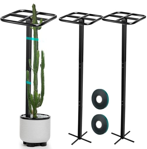 MorningRo Rankgitter mit Drachenfrucht, verstellbar, Metall, für Gartenpflanzen, Kletterstützen mit breiten Stretchbändern, für vertikale Gärten, Weinpflanzen, 152,4 cm, 2 Stück