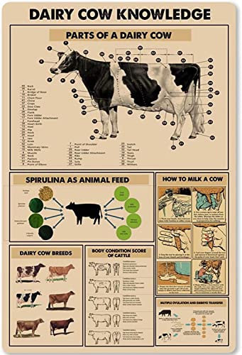 Letrero metálico con información sobre vacas lecheras, decoración de pared, póster de aluminio, infografías de rancho, placas de anatomía de vacas lecheras, decoración de habitación para el hogar de l