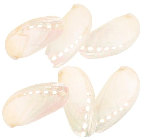 Hemobllo Lot de 6 Coquilles d'Ormeau Naturelles 4-6 CM Décoration en Coquillage d'Ormeau pour Mariage Plage et Aquarium Artisanat en Coquillage Solide Ornement Océanique Décoratif