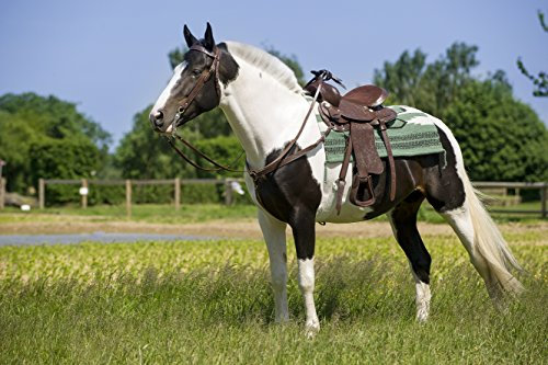 EKKIA RANDOL'S Topeka Westernsattel, Unisex, 800078, Havana, 13-Inch