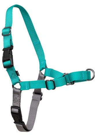 PetSafe, Easy Walk Hundegeschirr, das ultimative Geschirr gegen Ziehen bei Spaziergängen, übernimm die Kontrolle und lehre EIN besseres Leinenverhalten, Large, Petrol/Grau