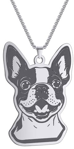 IOETSEUT Kette Halskette Männer Hundemarke Halskette Boston Terrier Anhänger Halskette für Frauen Männer Schöne Hund Tier Halskette Paar Geschenke