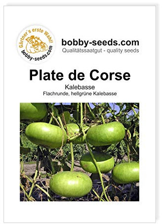 Plate de Corse Kürbissamen von Bobby-Seeds, Portion