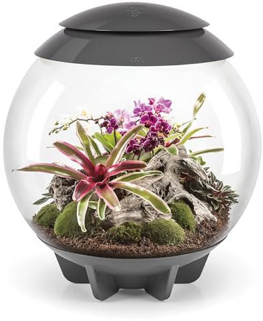 biOrb 46148 biOrb AIR 60 grau - automatisiertes Terrarium zur bequemen Pflege exotischer Pflanzen, LED-Beleuchtung, 60 l Fassungsvermögen