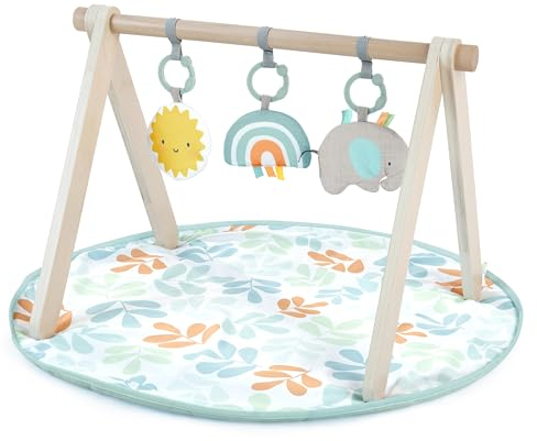 Ingenuity: ity by Ingenuity, Alfombra de juego Sun Valley con arco de madera, barra plegable en forma de A con 3 juguetes desmontables, alfombra lavable a máquina, unisex, para edades de 0 a 36 meses