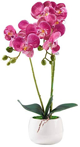 Alicemall Kunstpflanze Orchidee Künstliche Blumen aus Eva mit Übertopf Kunstblume Seidenblumen phalaenopsis-orchideen-Bonsai mit Keramik-vase Hochzeit Garten Balkon Tischdekoration33x8(Lila)