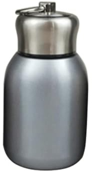 Minitermos de café de 300 ml, termo de viaje, termo de acero inoxidable, para uso en interiores y exteriores plata