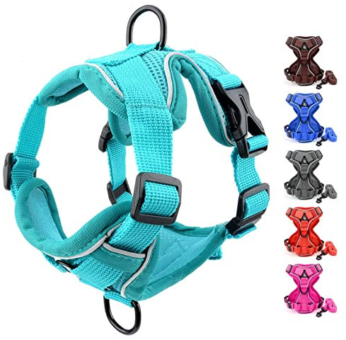 SMALLLEE_LUCKY_STORE Haustiergeschirr und Leine für kleine mittelgroße Hunde Katzen, Vorderclip, reflektierend, weiches Netzgewebe, gepolstert, verstellbare,französische Bulldogge, Grün, M