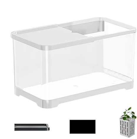 Aquarium Compact - Kit pour débutants d'aquarium, Jeux pour débutants d'aquarium | Ensemble d'aquarium Compact décoratif avec Filtre et Lampe, Aquarium Artistique