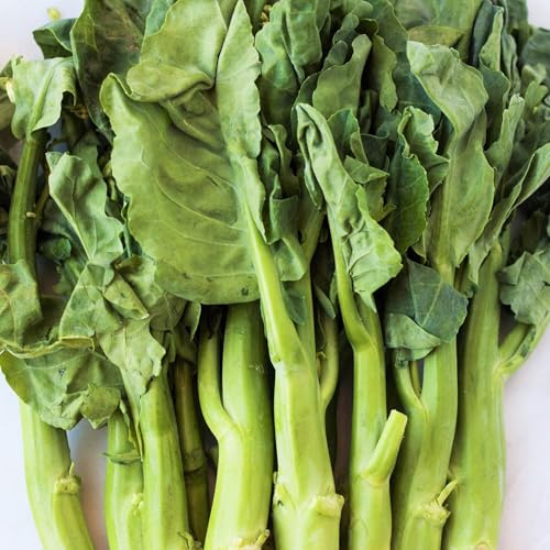 TomorrowSeeds - Chinese Broccoli Seeds - 6000+ Count - for 2026 Planting Jie LAN GAI LAN Rapini Rabe Kale Stem Greens Cabbage Yu Choy Kai LAN Asian Vegetable Grow Your Own Home Farm Patio Healthy