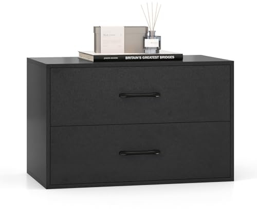 LOKO 2-Drawer Stackable Dresser, Lateral File Cabinet with Metal Handle, Horizontal Storage Cabinet with Anti-Topping Kits, Stacking Drawer Chest for Living Room, Study, Office (1, Black)
