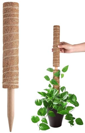 Monstera di Muschio, Bastone di Supporto per Piante impilabile, per Piante rampicanti da Interni, Colonna di Muschio di Cocco, Strumento di Giardinaggio Facile per Pothos Monstera Ivy Fern O