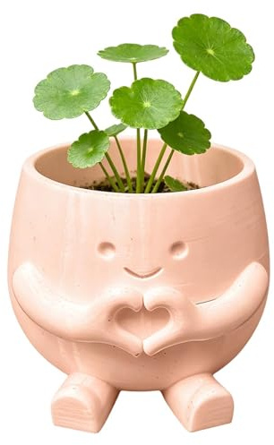 Bonitas macetas de escritorio, función decorativa de contenedor de flores, cultivo de 6 x 8 cm para decoración verde interior, diseño de soporte de plantas de estilo cerámica, accesorio de jardín para