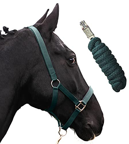 Halfter für Pferde mit Strick | Führstrick Pferd Halfter | Halfter Pony, Vollblut, Full, X-Full mit Strick (Grün, Warmblut)