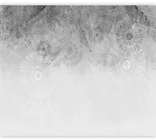 murando Fototapete Premium-Vlies Betonoptik 400x280cm Foto Tapete Schlafzimmer Wohnzimmer Vliestapete XXL Wandtapete Motivtapeten Bildtapete 3d Effekt Wand Dekoration Botanik Natur Pusteblumen grau