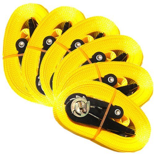 6 SPANNGURTE 4 m mit ZURRRATSCHE 0,8 t EN-12195-2 Zurrgurte 4m (Gelb)