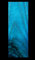 Wood dye. Brilliant Turquoise. Strong Powder dye for Water 2-8 Square Meter Coverage.