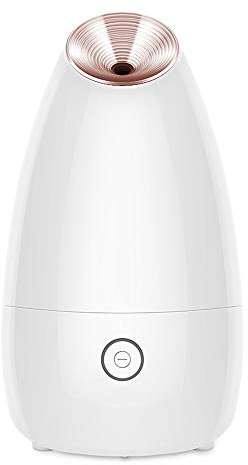 Facial Mist Sprayer, Nano Facial Moisturizing Mist Sprayer, Skin Care Steamer Facial Sauna Steam Inhaler Spa Golden